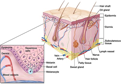 Skin Discoloration